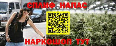 гидра Партизанск