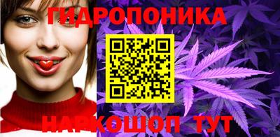 гидра Партизанск
