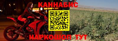 гидра Партизанск