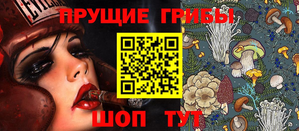 Псилоцибиновые грибы Cubensis  Галлюциногенные грибы GOLDEN TEACHER  Вход с VPN  Отрадный 