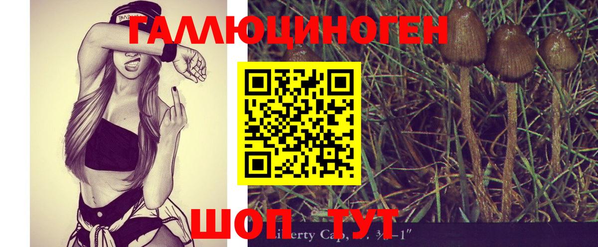 Галлюциногенные грибы Cubensis Отрадный